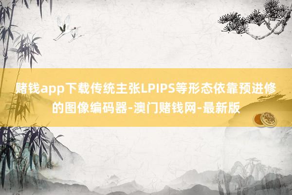 赌钱app下载传统主张LPIPS等形态依靠预进修的图像编码器-澳门赌钱网-最新版